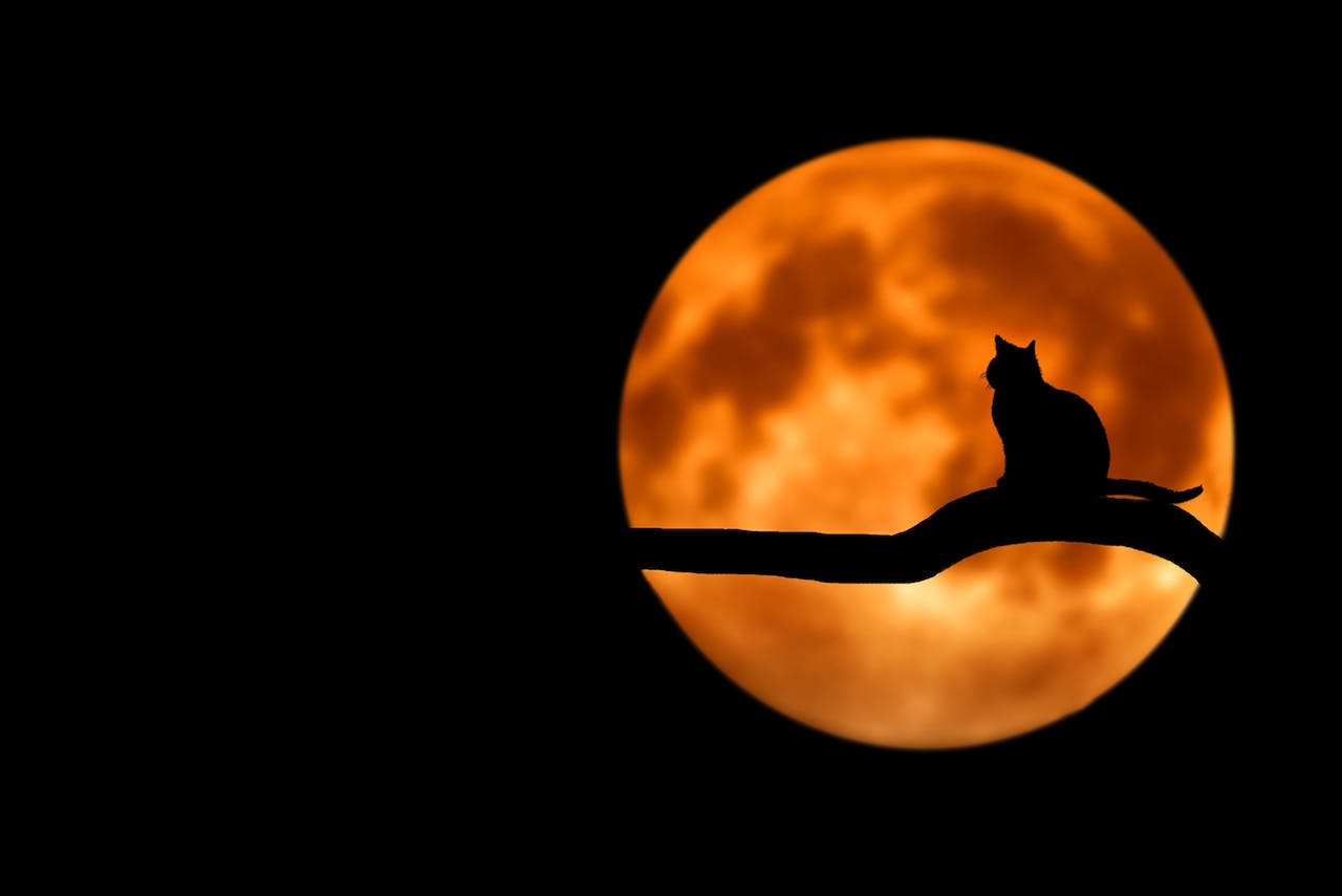 God Talking and 80s Music