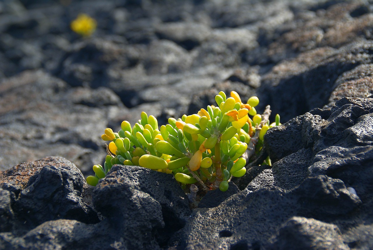 Don’t Wait for Closure, Realize It