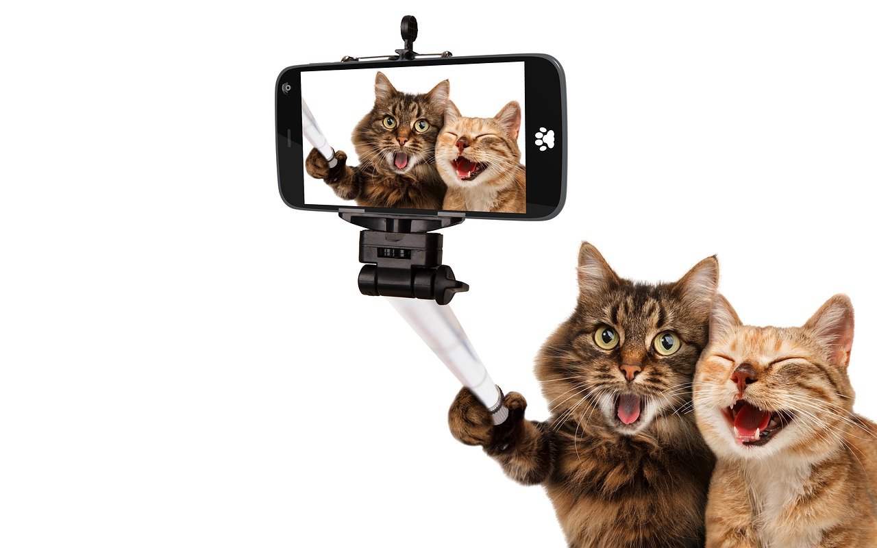 SELFIE