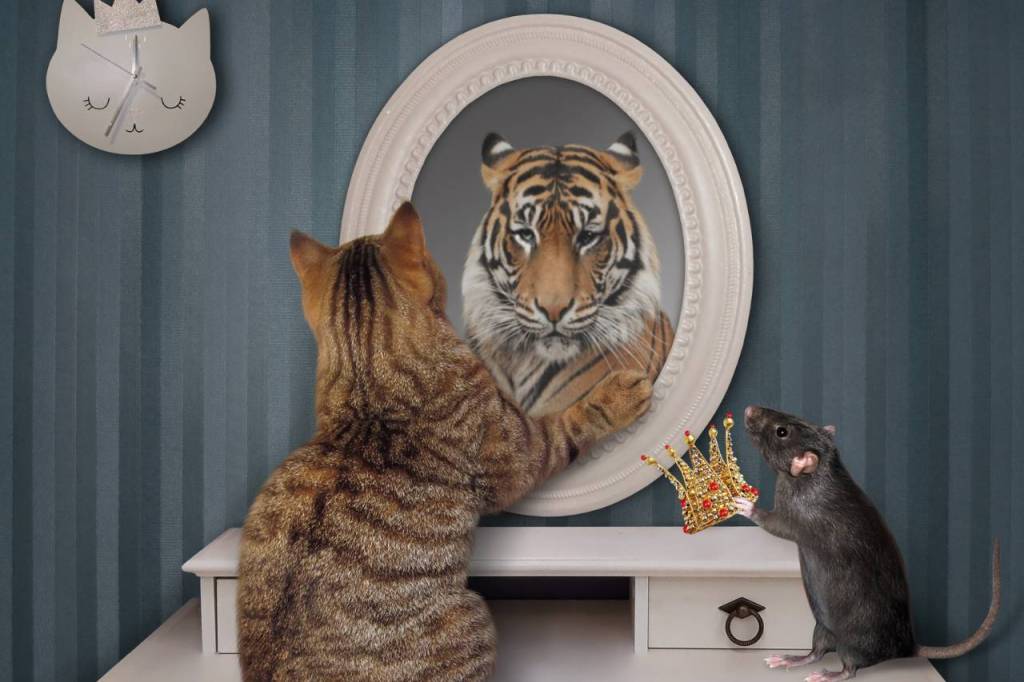 Affirmations Are a Powerful&nbsp;Tool