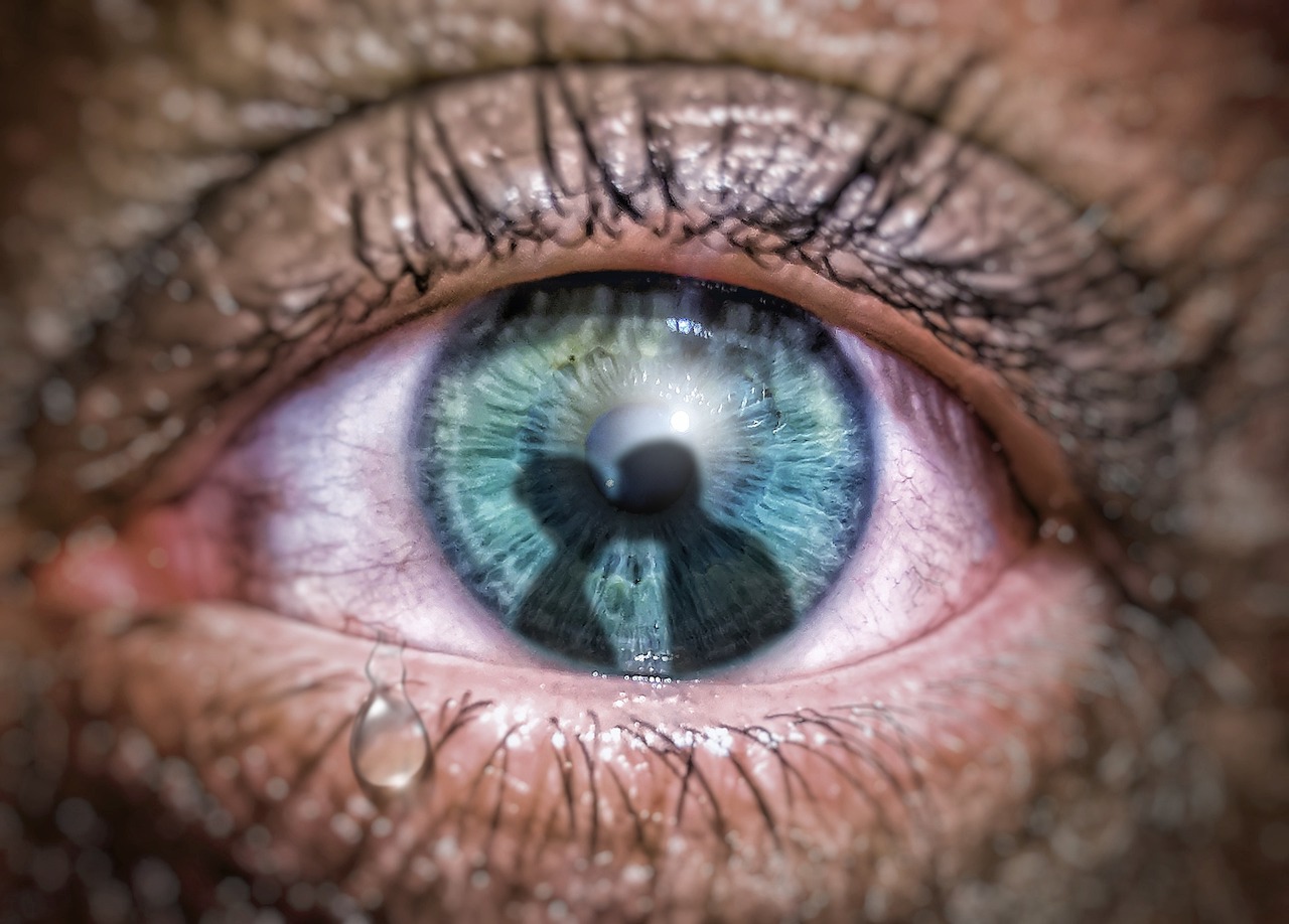 Green eyed Monster2