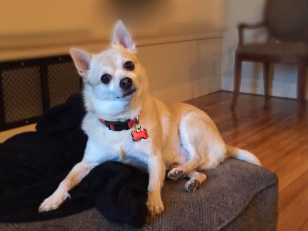 Have a Rango Kind of&nbsp;Day