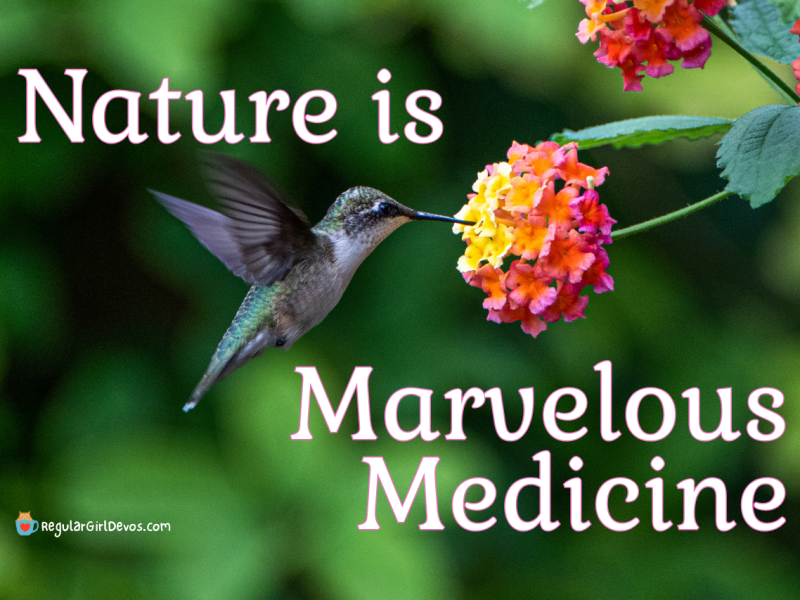 Nature is Marvelous&nbsp;Medicine