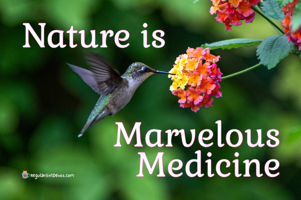 Nature is Marvelous&nbsp;Medicine