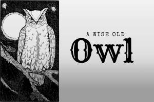 Wise Old Owl Feature